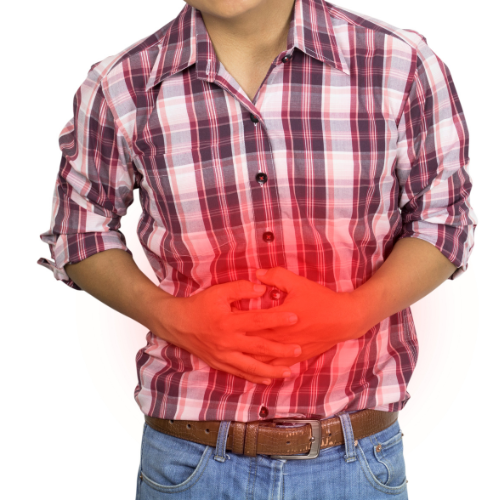 Gastro Services in Jalandhar